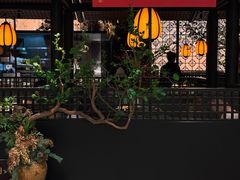 -淮扬府·游园京梦(北京SKP店)