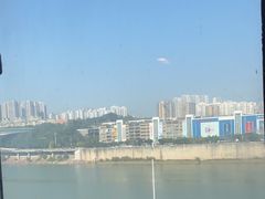 -李子坝梁山鸡(李子坝大鸡哥店)