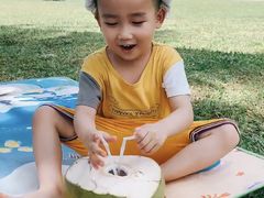 -万绿园