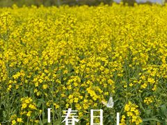 -广富林郊野公园