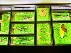 -彩虹之约•淮扬家宴(亚运村店)