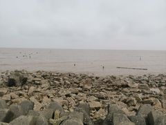 -南汇嘴观海公园