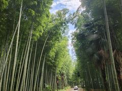 -黄公望隐居地