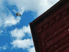 -圣·阿列克谢耶夫教堂