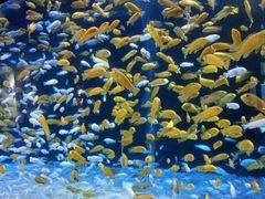 -成都浩海立方海洋公园