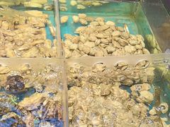 -魏铭鱼头捞饭(晋阳路店)