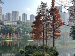 -重庆彩云湖湿地公园