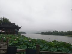 -湘湖大院(越王路店)