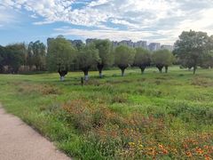 -汉长安城未央宫国家考古遗址公园