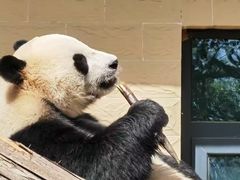 -石家庄市动物园