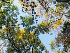 -江苏省美术馆(长江路新馆)