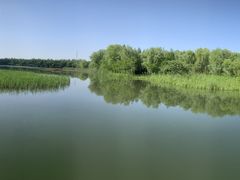 -溱湖国家湿地公园