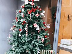 -Seesaw Coffee(上生新所店)