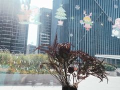 景观位-凤凰湘语·湘粤鲜融(浦东旗舰店)