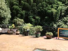 -将军关探险漂流