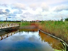 -鹦鹉洲湿地公园