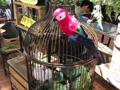 -花蒲甜品(海信广场店)