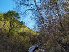 -灵山