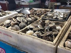 -四道口水产市场