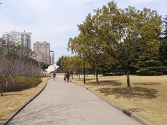 -龙华烈士纪念馆-停车场