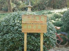 -杭州西湖风景名胜区-三生石