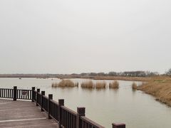 -南大港湿地风景区