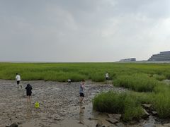 -南汇嘴观海公园