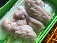 -蚝专家