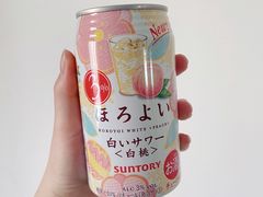 和乐怡白桃味调制酒-盒马鲜生(王府广场店)