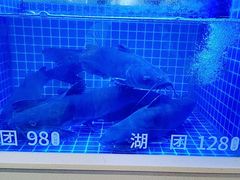 -七采菌园·野生菌石锅鱼(环城北路店)