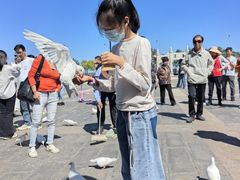 -天津妈祖文化园