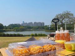 -东莞植物园