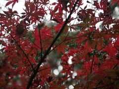 -苏州河梦清园环保主题公园