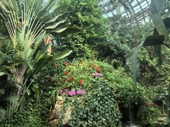 -郑州植物园