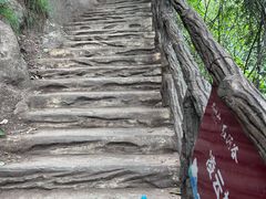 -陕西省红河谷森林公园