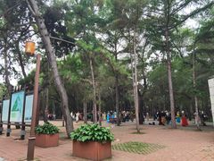 -长春市南湖公园