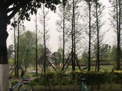 -两河城市森林公园