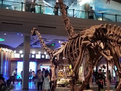 -自贡恐龙博物馆