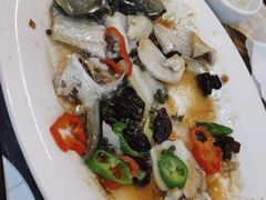-顺德美食坊(南沙分店)