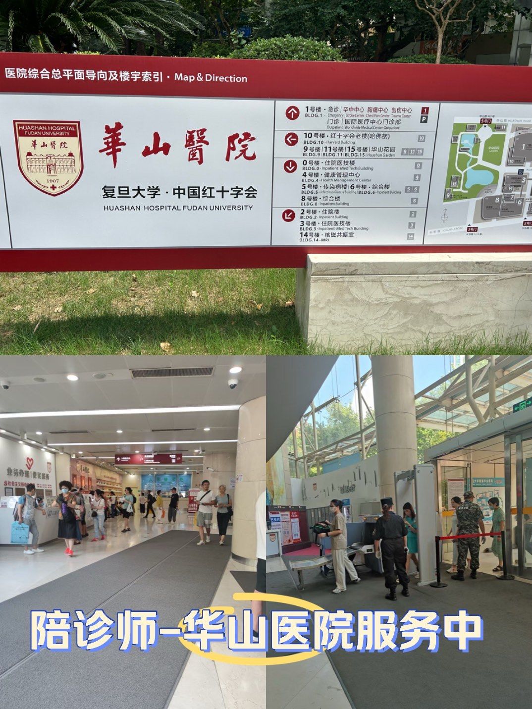 包含陪诊师的工作内容	医院跑腿收费标准房山区号贩子挂号电话,欢迎咨询的词条