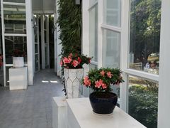 -四海公园(南山区)