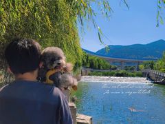 -龙洞风景区-藏龙涧