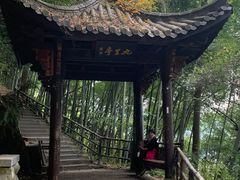 -东天目山风景区