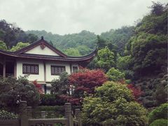 -十八棵（老龙井）御茶园(老龙井店)