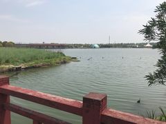 -上海都市菜园