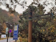 -南京市无想山景区