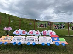 -仰天湖大草原