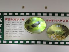 -上海昆虫博物馆