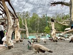 -水上乐园·欢乐世界