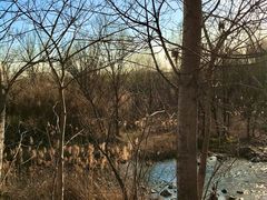 -淇河国家湿地公园